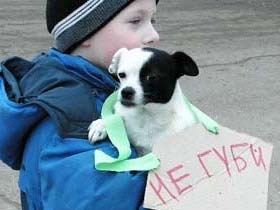 Акция в защиту животных в Ульяновске. Фото: А. Брагина, Каспаров.Ru (c)
