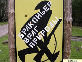 Плакат против браконьеров. Фото: с сайта roft.ru (c)