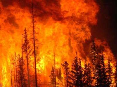 Лесной пожар в Бурятии