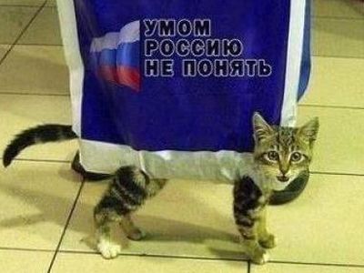 Умом Россию не понять. Фото: ekabu.ru