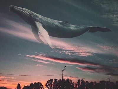 Синий кит над городом. Источник - weua.net