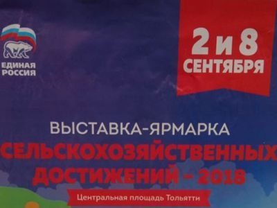 Реклама сельхозярмарки с логотипом ЕР. Фото: Владимир Лапкин, Каспаров.Ru