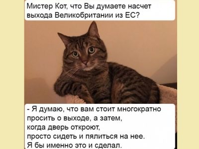 Кот и "Брекзит". Интернет-мем: smart-lab.ru