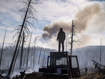 Лесной пожар. Фото: Валерий Мельников / РИА Новости