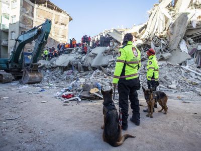Спасатели ведут поиск выживших после землетрясения Фото: Getty Images/Anadolu Agency/Ali Balikci