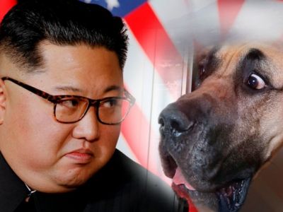 Ким Чен Ын и собаки. Коллаж: newsfrol.ru