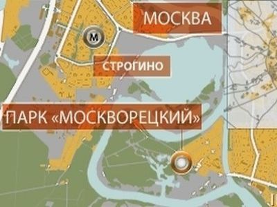 Пип москворецкий. ООПТ Москворецкий парк. Природно-исторический парк Москворецкий границы. Парк Москворецкий на карте. Москворецкий парк в Строгино.