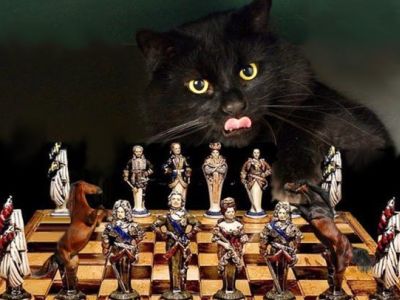 Кот Бегемот за шахматами. Иллюстрация: photokillers.ru