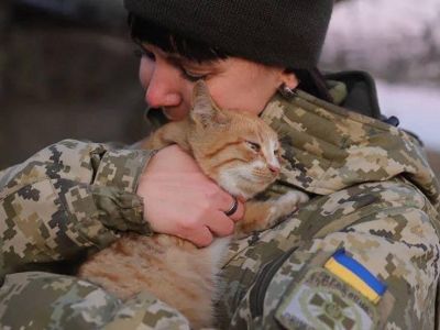 Украинский военный просит кота помочь  Фото: Апостроф